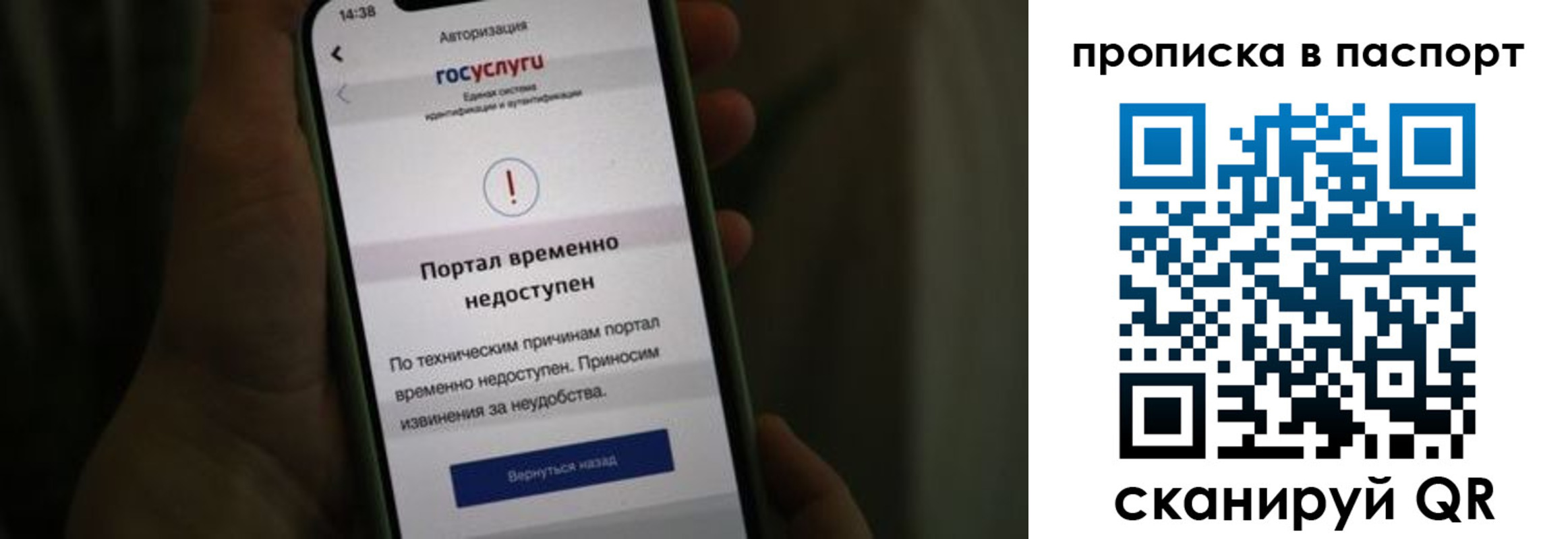 временная регистрация для школы в Курганской области